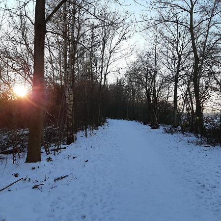 Vakantiehuis Aan Het Bos - Gelegen Aan De Tulpenroute Bant Bagian luar foto