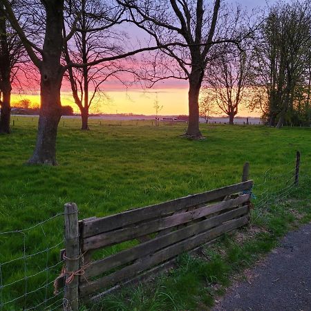 Vakantiehuis Aan Het Bos - Gelegen Aan De Tulpenroute Bant Bagian luar foto