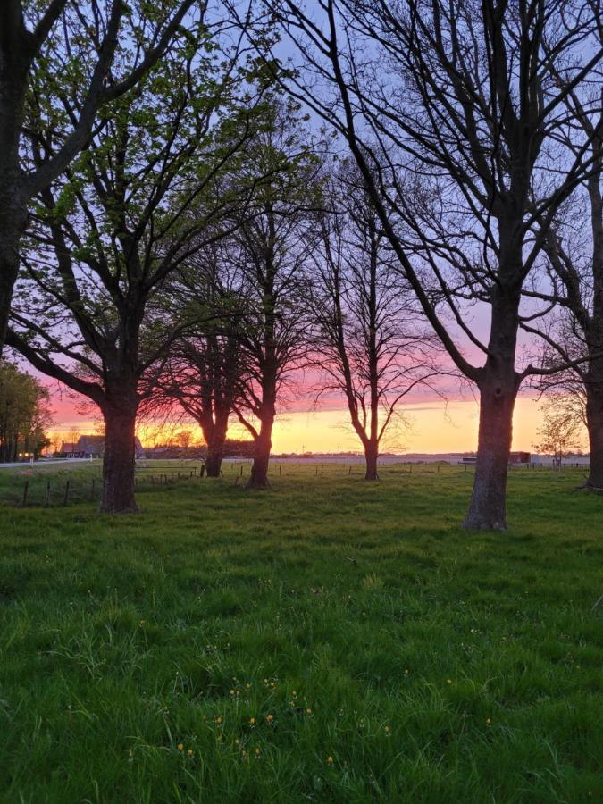 Vakantiehuis Aan Het Bos - Gelegen Aan De Tulpenroute Bant Bagian luar foto
